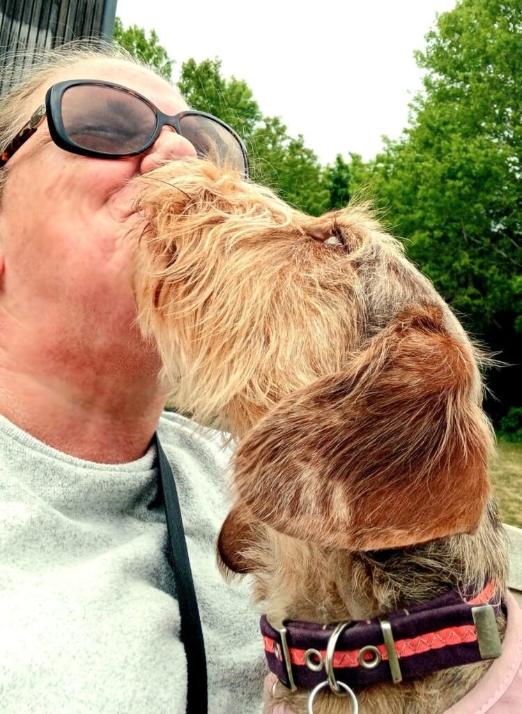 A dog receiving gentle, individual attention from the owner of Jackson Tiny Tails, ensuring personalised care.