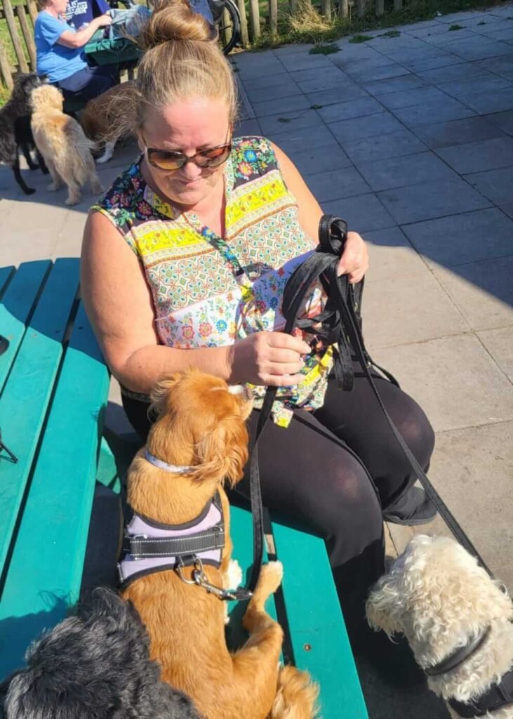A joyful moment shared between a dog and the Jackson Tiny Tails carer.