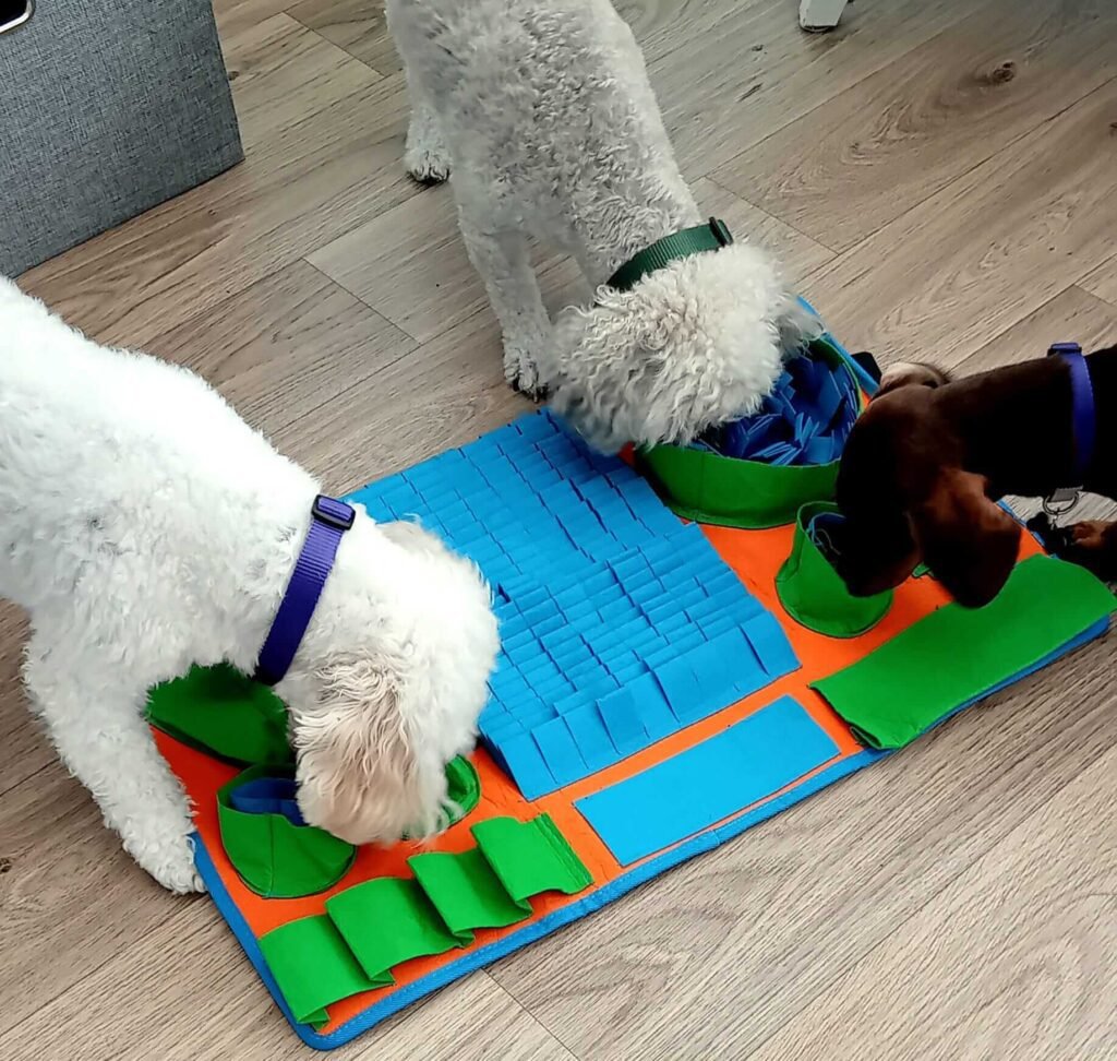 A relaxed dog lying comfortably in a warm, home-like setting.
