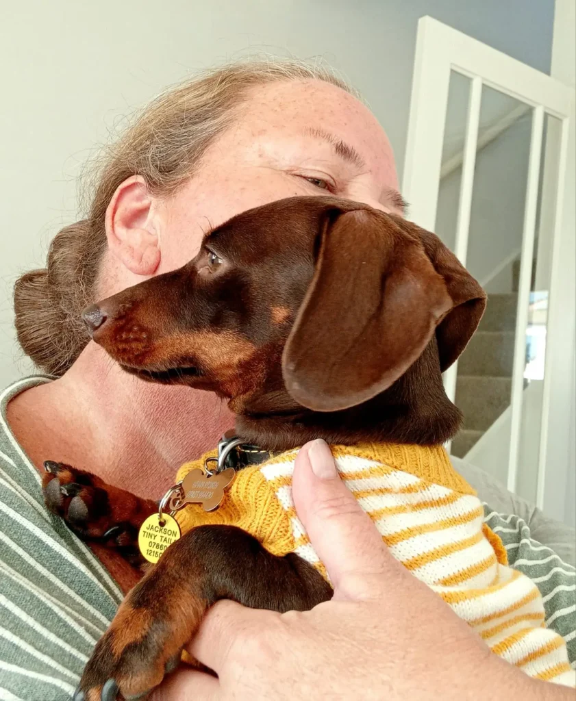 A happy dog receiving gentle attention from the Jackson Tiny Tails owner.